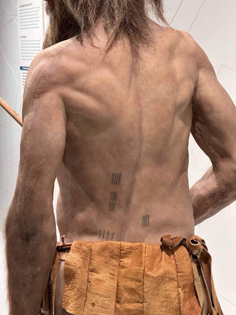 Die Ötzi -Figur im Archäologiemuseum in Bozen trägt die ötzi-typischen Tatoos auf dem Rücken. Parallele senkrechte Streifen wahrscheinlich auf seinen Schmerzbereichen.
