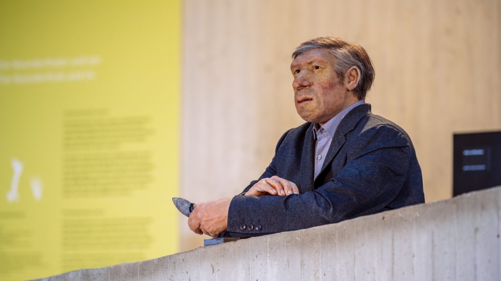 Neandertaler Figur in Hemd und Anzug, Mr. 4 % zeigt, dass auch wir heutigen Menschen Neandertaler Gene in uns haben.