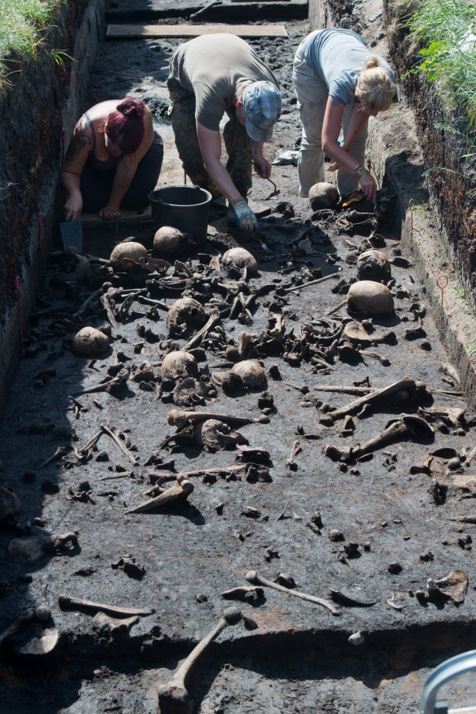 Archäologische Grabung mit einer Vielzahl von Schädeln und menschlichen Knochen. Drei Wissenschaftler untersuchen die Knochenfunde. Die menschlichen Überreste stammen von einer Schlacht während der Bronzezeit 1300 vor Christus. Ausgrabungsort: Tollensetal in Mecklenburg-Vorpommern.