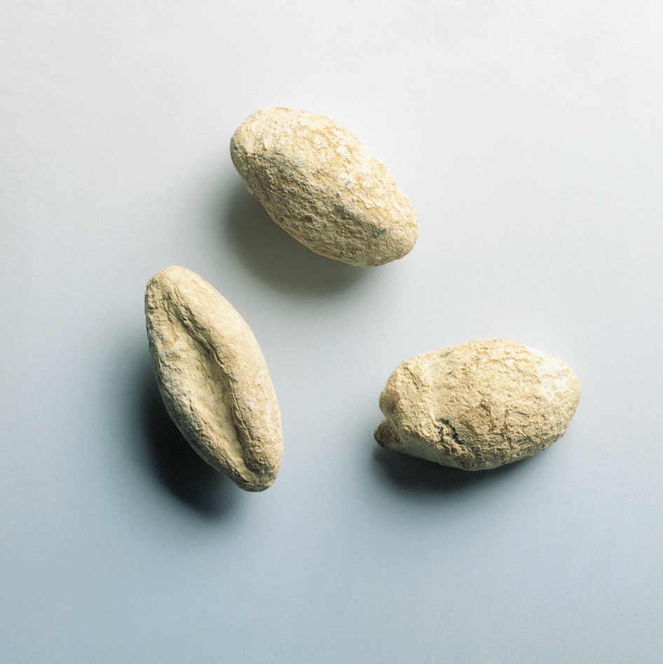 Original römische Schleuderbleie. Sie wurden bei Ausgrabungen in Kalkriese des Ort der Varusschlacht bei Osnabrück gefunden.